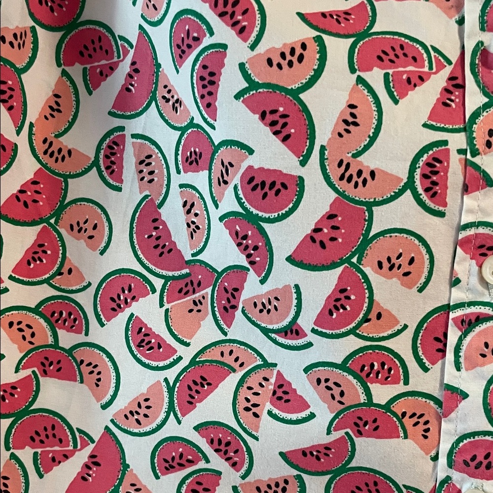 J. Crew Sleeveless Watermelon-Print Collared Blouse - Pink & White - Picture 5 of 10